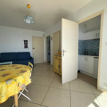 Vue Au Lavandou Avec Parking - Fr-1-308-64 *