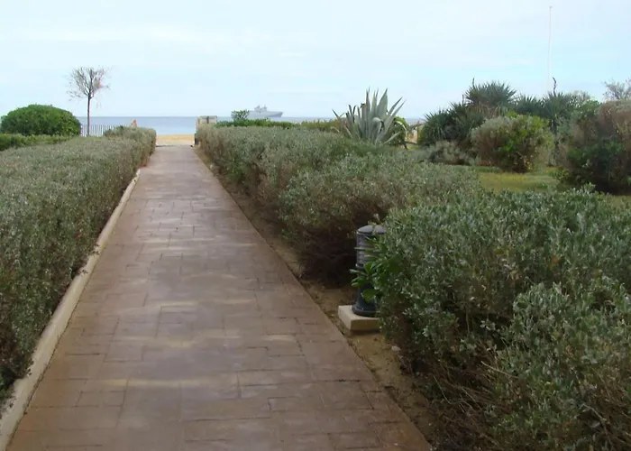 Vue Au Lavandou Avec Parking - Fr-1-308-64 Apartman